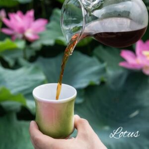 16 CCCLAY Sensory/Aroma/Competition Cups