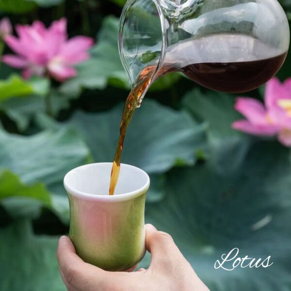 16 CCCLAY Sensory/Aroma/Competition Cups