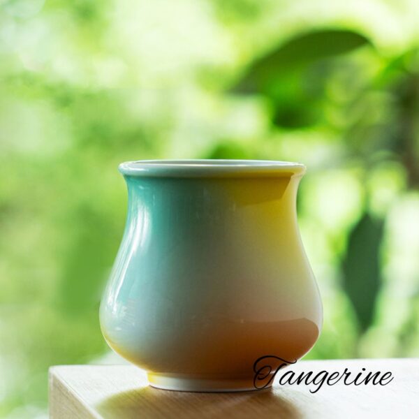 6 CCCLAY Sensory/Aroma/Competition Cups